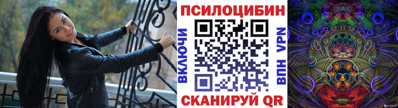 Псилоцибиновые грибы прущие грибы  гидра   Каневская 